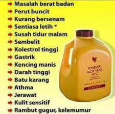 A product of our patented aloe stabilization process, our gel is favored by those looking to maintain a healthy digestive system and a natural energy level. Simplyaddorable Aloe Vera Gel Forever Living Untuk Kesihatan Berpanjangan Saya Pengguna Setia