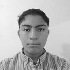 Víctor Karim Méndez Ramírez