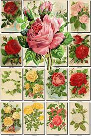 Roses 6 Collection Of 150 Nice Vintage Images Bouquets Genus Etsy Hybrid Tea Roses Tea Roses Flowers
