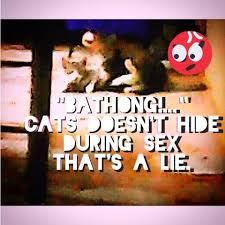 Put it on my bill! My Stupid Jokes Unfunny Jokes Posts Facebook