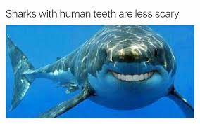 Clip from finding nemoshark bait ooh ha ha! Shark Bait Ooh Ha Ha Sunrise Pediatric Dentistry