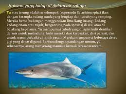 Labirin merupakan suatu organ, alat pernafasan tambahan yang berfungsi membantu ikan agar dapat menyesuaikan terhadap kondisi suatu perairan terutama pada kondisi oksigen yang rendah saat musim kemarau. Haiwan Yang Hidup Di Dalam Air Sahaja