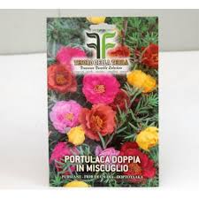 Portulaca fioritura inizia a giugno e dura quasi fino alla fine dell'autunno. Vendita Online Semi Di Portulaca Semi Da Fiore Vivaio Mondo Piante