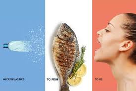 General 2 — Healthy Living, Healthy Planet Radio