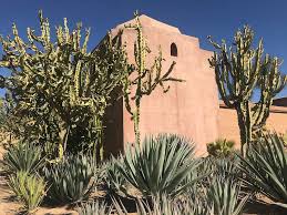 Là, tout n'est qu'ordre et beauté, luxe, calme et volupté. Claudio Bravo Desert Garden Desertgarden Taroudant Morocco Moroccangarden Claudiobravo Garden Planting C Moroccan Garden Desert Garden Beautiful Homes