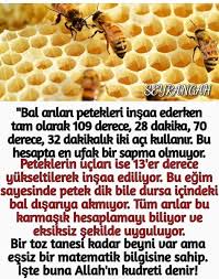 Nurcan Adli Kullanicinin Dini Bilgiler Panosundaki Pin Bal Petek