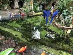 How much are moody garden tickets. 5 Exciting Reasons To Explore Moody Gardens In Galveston Texas Traveling Mom