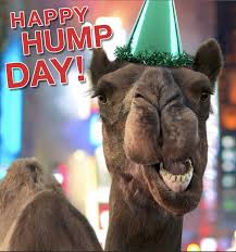 (camel ride around the pyramids with…» The Green Camel What Day Is It Mike Mike Mike Facebook