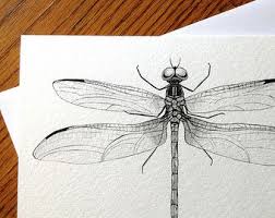 Black And White Insect With Wings Uk Dragonfly Insect Bug Wings 5 X 7 Black And White Illustrated Blank Card Entomology Dragonfly Art Cicada Art Card Art