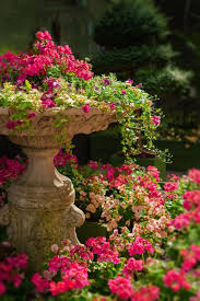 Gardenscapes Plants Outdoor Gardens Garden
