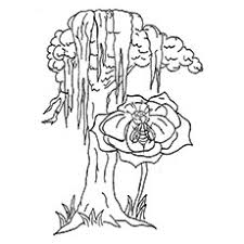 In addition to keeping citrus trees warm, gardeners must also keep them healthy. Top 25 Tree Coloring Pages For Your Little Ones