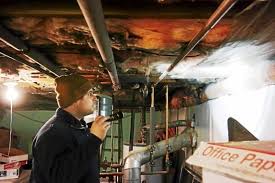 We'll review the issue and make a decision about a partial or a full refund. Rat Population On Rise In The Berkshires Pest Control Companies Report Local News Berkshireeagle Com