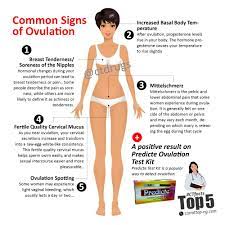 Maybe you would like to learn more about one of these? Ovulation Symptoms Are Not Carrot Top Drugs Limited Facebook