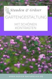Sichtschutz Pflanzen Mit Stauden Und Grasern Stauden Sichtschutz Pflanzen Und Garten Bepflanzen