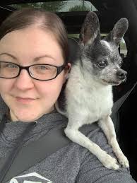 Loss of a beloved pet, Louie, and coping with grief