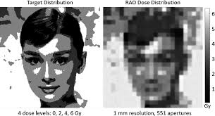 Left) Target image for the Audrey Hepburn plan, with four dose levels...