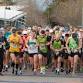 Manawatu Striders Super Seven Series event image
