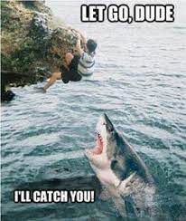 We did not find results for: 22 Funny Rock Climbing Ideas Rock Climbing Climbing Funny Rock
