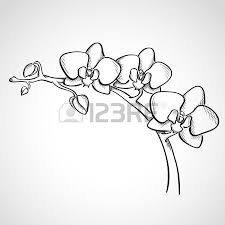 Sketch Orchid Branch Hand Drawn Ink Style Orchid Drawing Flower Line Drawings Flower Drawing