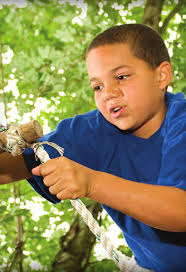 Dear Friends of WCS: