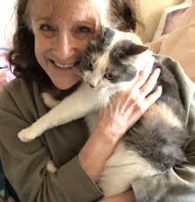 Creature Comforts by Shelly Blankman (PRIME MOVERS Series)