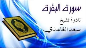 جديد اغاني الفنان الورزازي علا ايوا الباز. 3lla Ouarzazate Skoura 1 2020 Ù…Ø¬Ù…ÙˆØ¹Ø© Ø§Ù„Ø³Ù„Ø§Ù… Ø¹Ù„Ø§ ÙˆØ±Ø²Ø§Ø²Ø§Øª Ø³ÙƒÙˆØ±Ø© Ø¨Ø§Ù†Ø¬Ùˆ Flixify