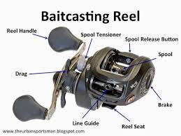 Understanding The Different Types Of Fishing Reels Http Www Bestgamefishing Com Spinning Bait Casting Techniques Bass Fishing Tips Fishing Tips Fishing Reels