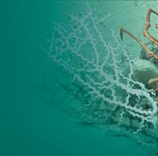 Melanie Bergmann Lars Gutow Michael Klages Editors