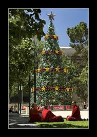 Snappy Christmas A Photo From Victoria East Trekearth Christmas In Australia Christmas Worldwide Australian Christmas
