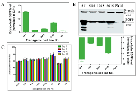 This is the main grupa azoty sa stock chart and current price. Pseudo Attp Sites In Favor Of Transgene Integration And Expression In Cultured Porcine Cells Identified By Streptomyces Phage Phic31 Integrase Bmc Molecular Biology Full Text