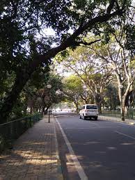 Maybe you would like to learn more about one of these? Trees On Both Side Of The Road Steemit