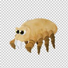 Image result for Trombicula autumnalis