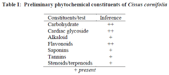 Image result for Cissus cornifolia
