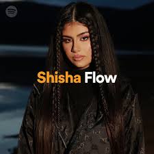 Audiochuck founder and ceo ashley flowers will be the host, and this will be her first podcast to explore international crimes. Uber Spotify Prowly