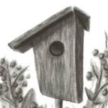 Beginner Charcoal Drawing for Adults