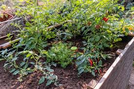 Hochbeete Bewassern Mit Gefassen Aus Ton Der Kleine Horrorgarten In 2020 Garten Hochbeet Bewasserung Garten Hochbeet