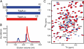 Structural changes of TasA in biofilm formation of Bacillus subtilis | PNAS