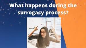 The biggest difference is that cost of the fertility treatment ranges from $0 to $20,000 and depends on insemination method used (home insemination, iui, ivf). Do Surrogates Get Paid In Canada And Other Information About Surrogacy Money Youtube