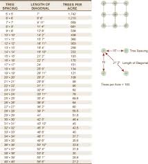 13 Rigorous Tree Spacing Chart