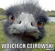 Wojciech cejrowski należy do następujących organizacji: Wojciech Cejrowski Memy Pl
