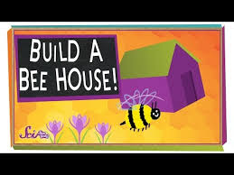 Check spelling or type a new query. Nerdfighteria Wiki Build A Beehouse