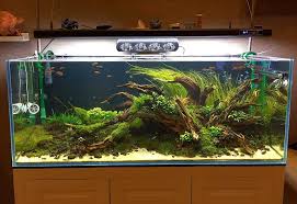 It involves techniques of setting up, decorating and arranging a set of natural elements such as: Simon S Aquascape Blog