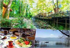 Masukiye Kahvalti Yerleri Masukiye Ve Sapanca Kahvalti Fiyatlari Seyahat Edilecek Yerler Turizm Tatil Yerleri