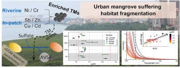 Pagesmediatv & moviesvideoprivesc.euvideosședința guvernului româniei din 2 august 2018. Trace Metal Pollution Risk Assessment In Urban Mangrove Patches Potential Linkage With The Spectral Characteristics Of Chromophoric Dissolved Organic Matter Sciencedirect