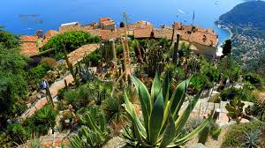 Jardin Botanique D Eze Eze Village France Nikon Coolpix B700 4 3mm 1 1600s 1 1250s Iso100 F 3 5 Panorama Segment 2 Hdr Photog Farmland Outdoor Vineyard