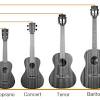 Later on, you may be want to play some single notes in good ukulele songs, and then you need to know where to find them. 1