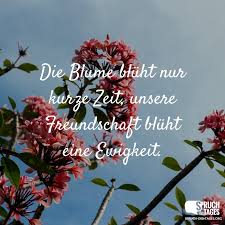 Freundschaftsspruche Spruche Zum Thema Freundschaft