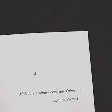 Love Tu Crois Sauve Moi Guillaume Musso Celebration Quotes French Quotes Inspirational Words