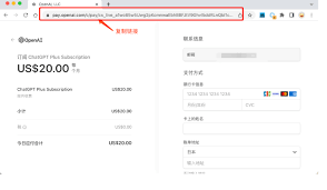 ChatGPT Plus国内充值指南：无需账号密码的代充服务流程-号优优网