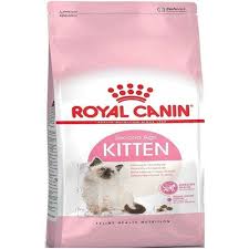 royal canin kitten 4 kg amazon pet center yavru kediler balik yagi kedi
